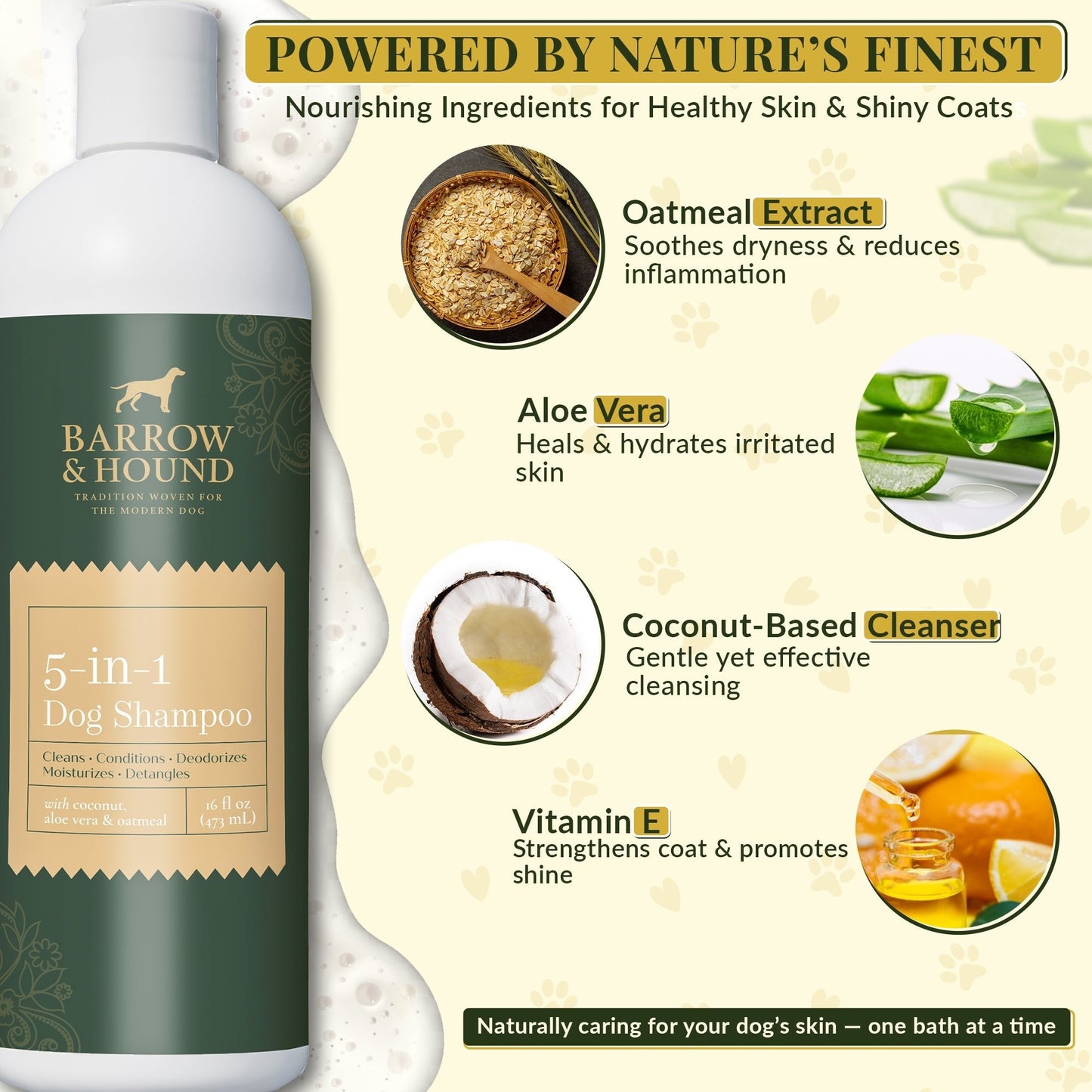 5-in-1 Dog Shampoo β Cleans, Conditions, Deodorizes, Moisturizes & Detangles β with Coconut, Oatmeal & Aloe β for Sensitive Skin β 16 fl oz