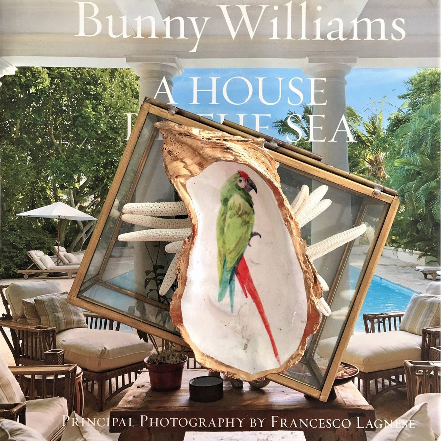 Kcrookdesign - Green Parrot